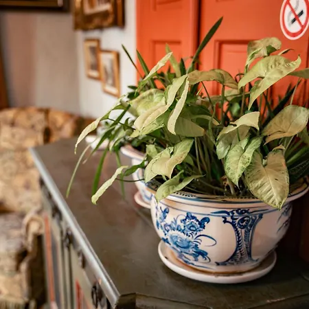 Malkia Inter Πανσιόν