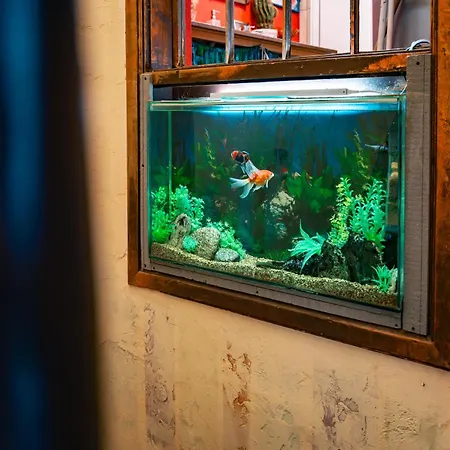 Malkia Inter Βελίκο Τίρνοβο