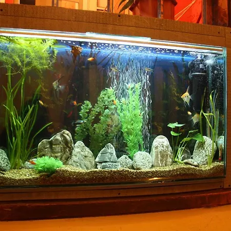 Gasthuis Malkia Inter