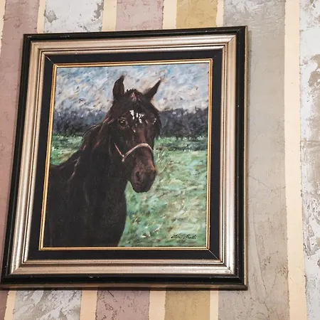 Gasthuis Malkia Inter