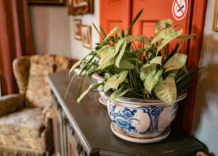 Malkia Inter Pensjonat