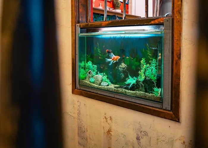 Malkia Inter Wielkie Tyrnowo